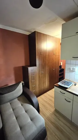 Pronájem bytu 1+kk, Most, U Věžových domů, 20 m2