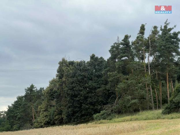 Prodej lesa, Tři Dvory, 4321 m2