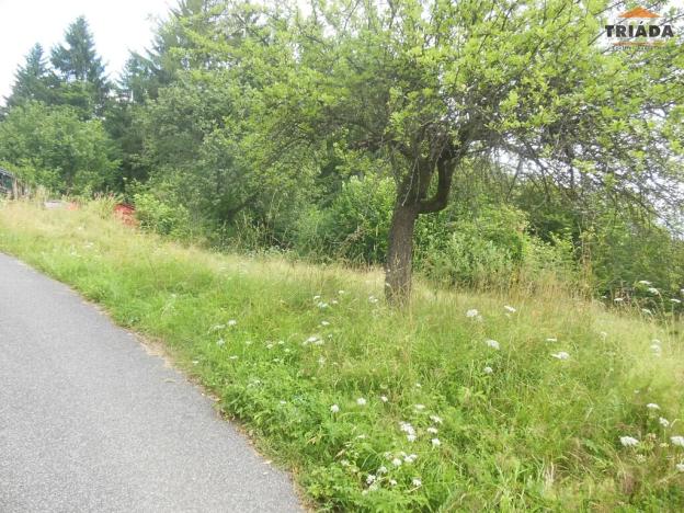 Prodej louky, Bozkov, 520 m2