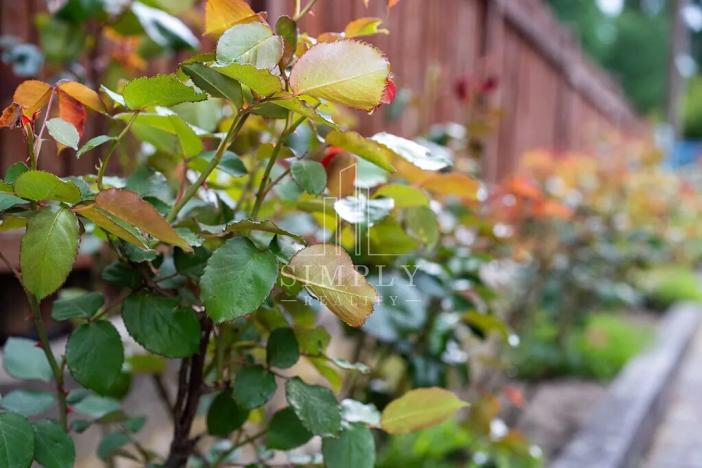 Prodej vily, Říčany, Legií, 500 m2