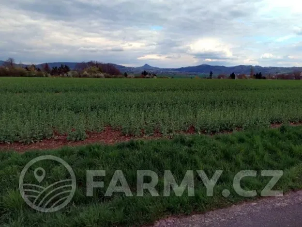 Prodej podílu pole, Úštěk, 68335 m2