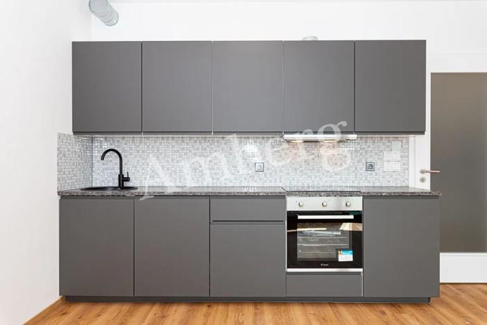 Pronájem bytu 1+kk, Praha - Žižkov, Olgy Havlové, 34 m2