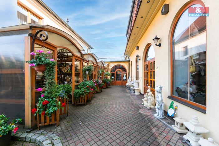 Pronájem obchodního prostoru, Domažlice - Dolejší Předměstí, Husova třída, 600 m2