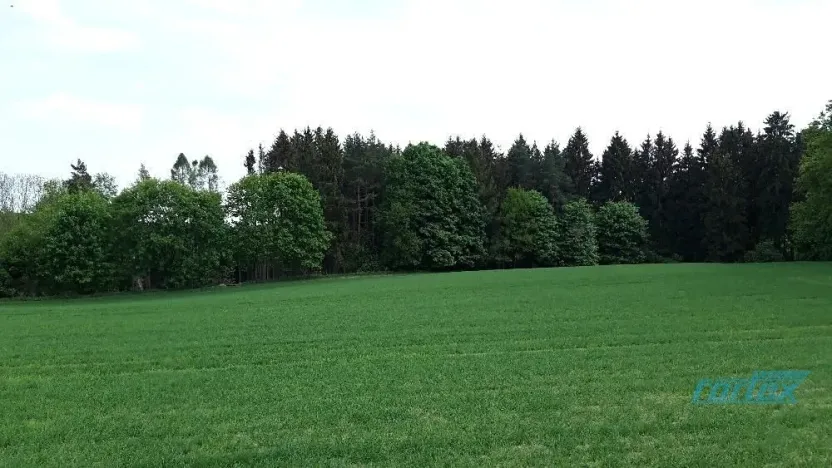 Prodej lesa, Zábřeh, 78836 m2