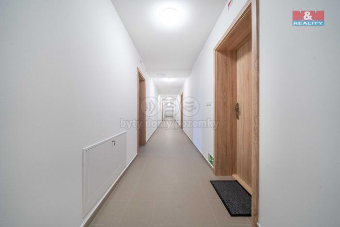 Pronájem bytu 1+kk, Třemošná, Školní, 32 m2