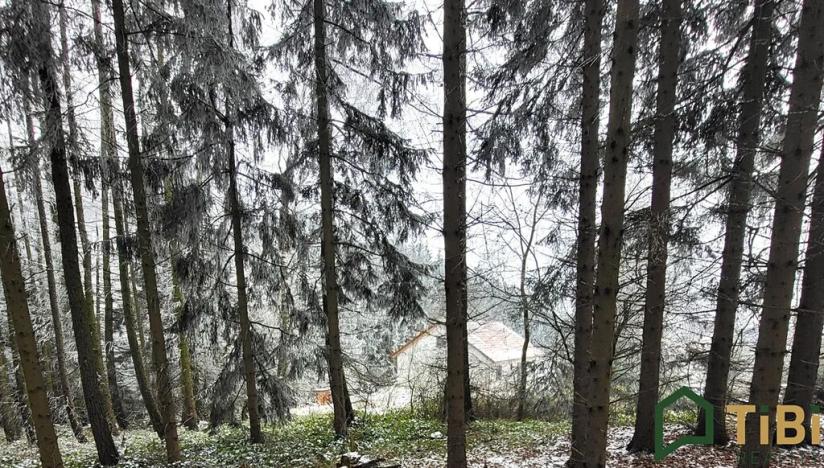 Prodej pozemku pro bydlení, Gruna, 1753 m2