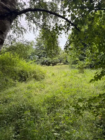 Prodej pozemku, Nezdřev, 8407 m2