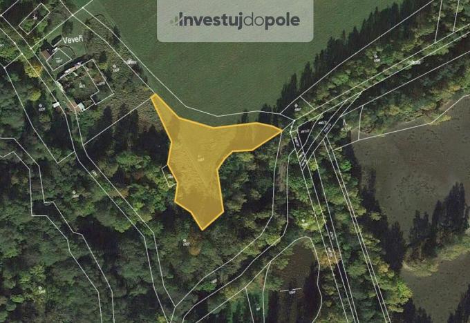 Prodej louky, Nové Hrady - Veveří, 3100 m2