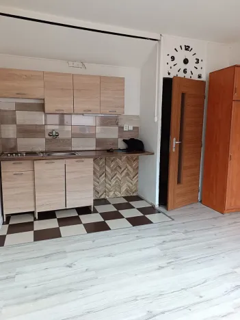 Pronájem bytu 1+kk, Teplice, U Vlastního krbu, 21 m2