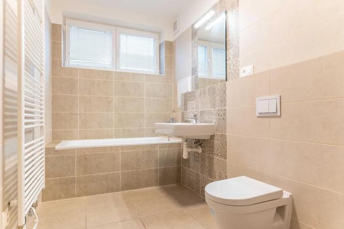 Pronájem bytu 1+kk, Heřmanova Huť, U Pondu, 34 m2