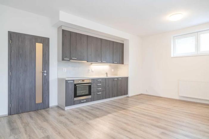 Pronájem bytu 1+kk, Heřmanova Huť, U Pondu, 34 m2