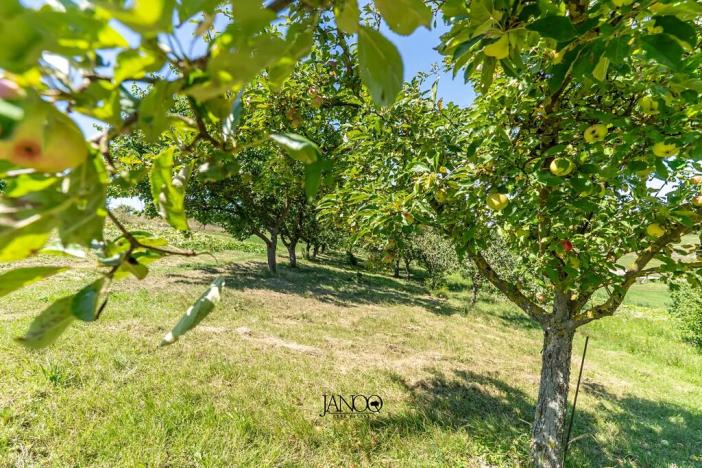 Prodej rodinného domu, Hovorany, 180 m2