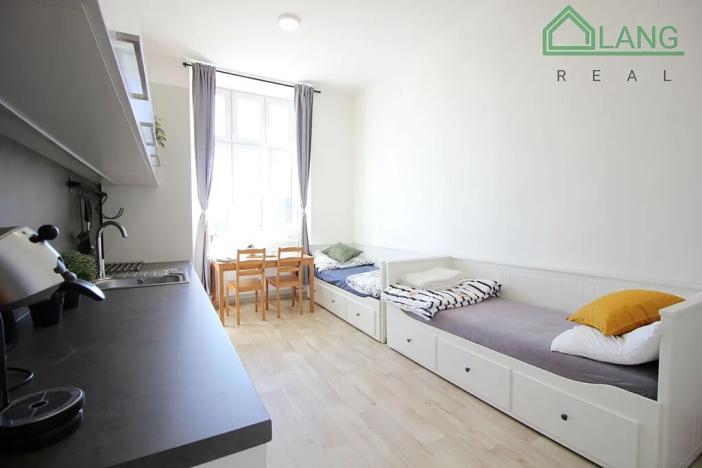 Pronájem bytu 1+kk, Brno, Palackého třída, 27 m2