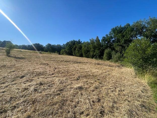 Prodej pozemku pro bydlení, Buš, 1284 m2