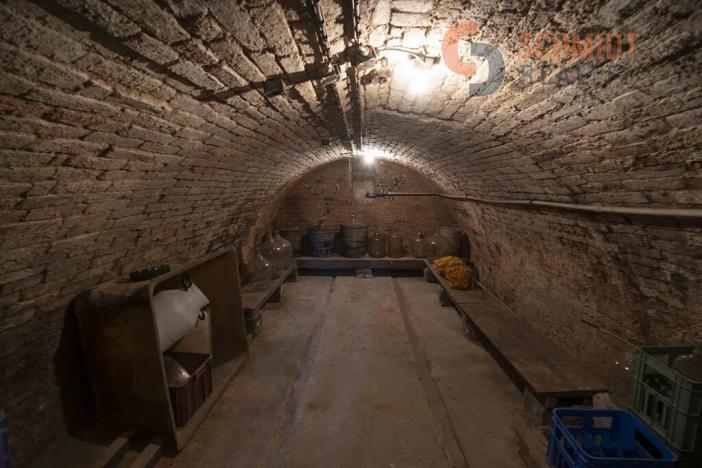 Prodej rodinného domu, Hrušovany nad Jevišovkou, Drnholecká, 160 m2