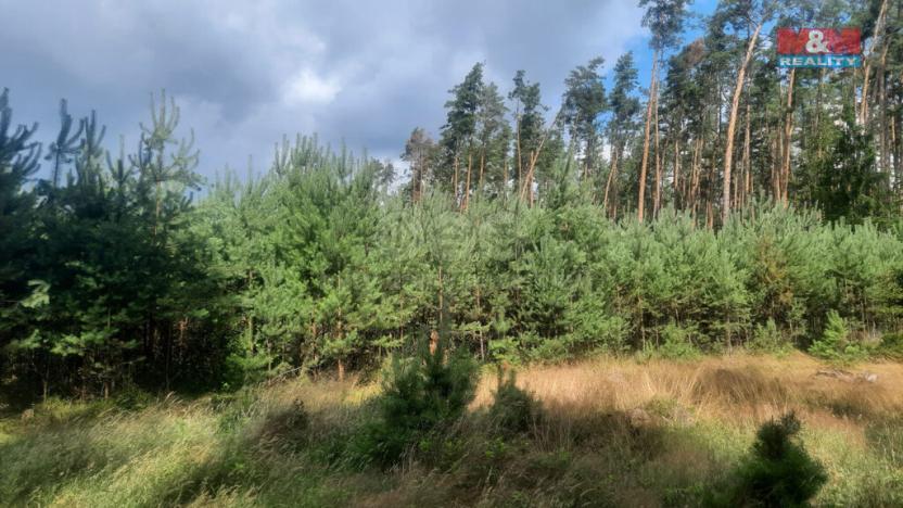 Prodej lesa, Březovice, 108447 m2