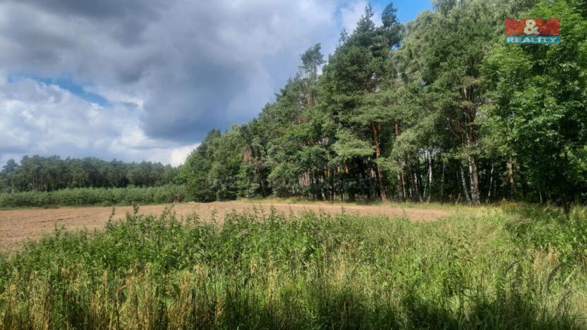 Prodej lesa, Březovice, 108447 m2