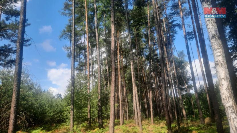 Prodej lesa, Březovice, 108447 m2
