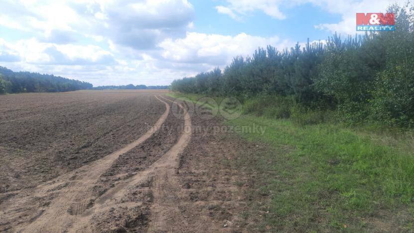 Prodej lesa, Březovice, 108447 m2