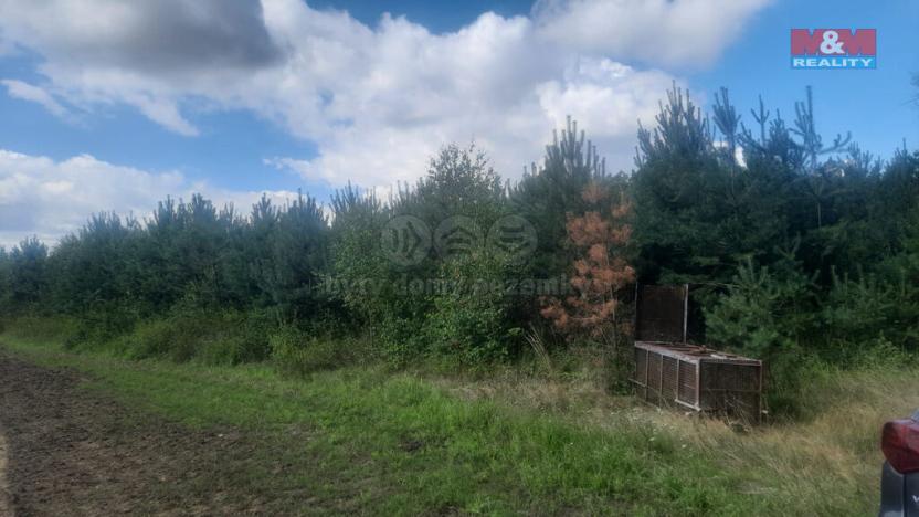 Prodej lesa, Březovice, 108447 m2