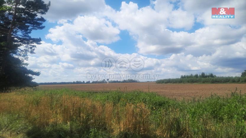 Prodej lesa, Březovice, 108447 m2