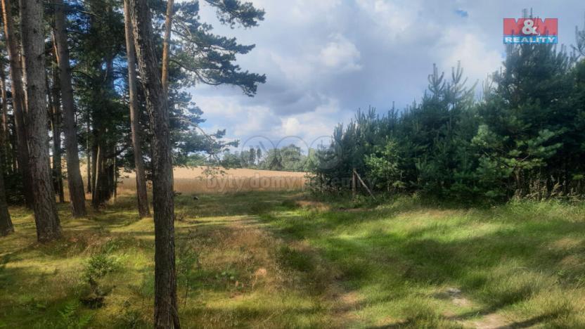 Prodej lesa, Březovice, 108447 m2