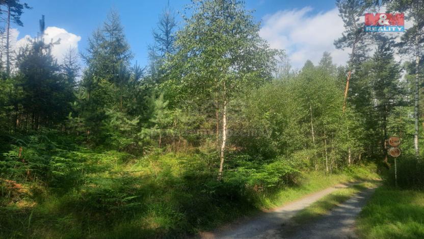 Prodej lesa, Březovice, 108447 m2