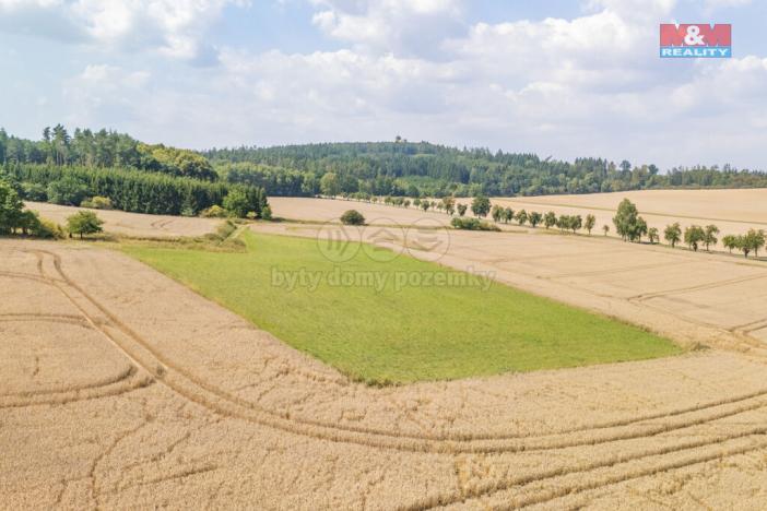 Prodej louky, Šťáhlavy, 8007 m2