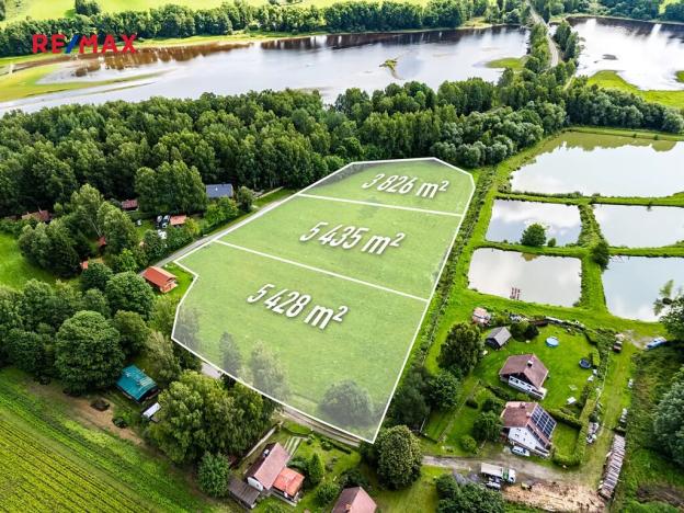 Prodej komerčního pozemku, Nová Pec, 16305 m2