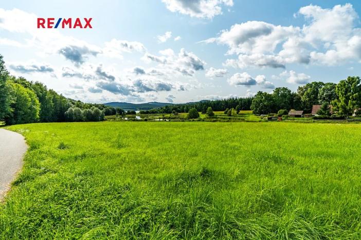 Prodej komerčního pozemku, Nová Pec, 16305 m2