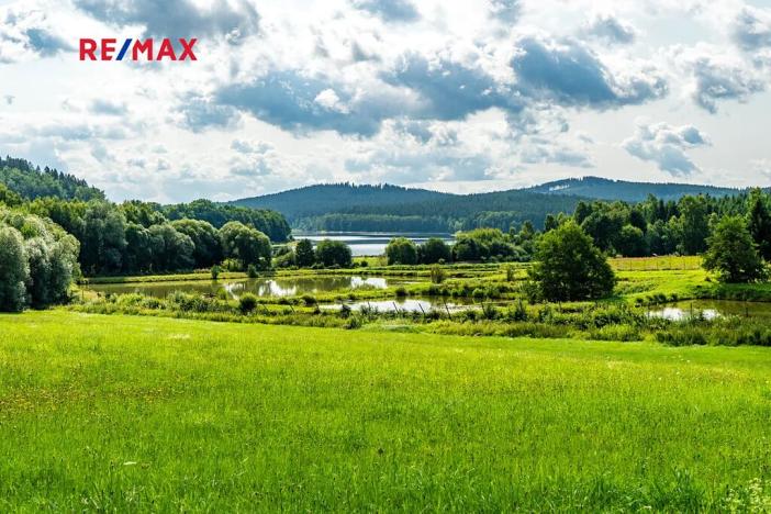 Prodej komerčního pozemku, Nová Pec, 16305 m2