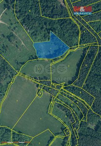 Prodej lesa, Sušice - Chmelná, 33931 m2