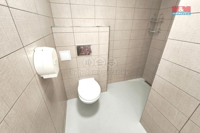 Pronájem obchodního prostoru, Mladá Boleslav - Mladá Boleslav II, 17. listopadu, 160 m2