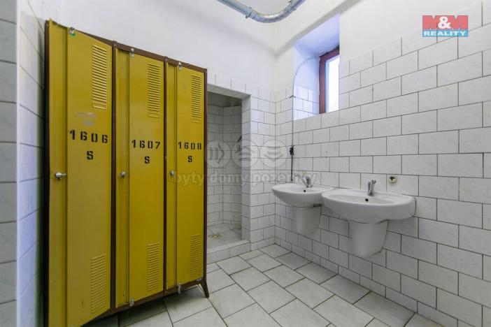 Pronájem výrobních prostor, Přeštice, Veleslavínova, 918 m2