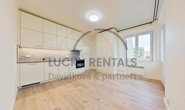 Pronájem bytu 1+kk, Praha - Podolí, Levá, 27 m2