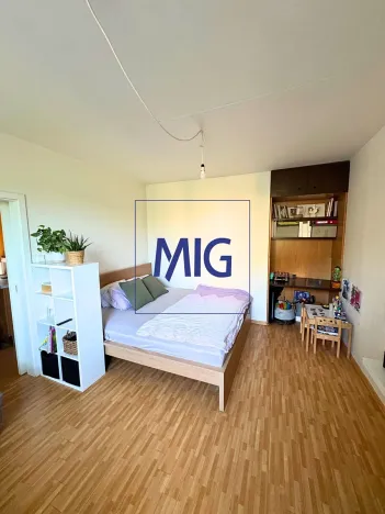 Prodej bytu 2+1, Brno, Boskovická, 60 m2