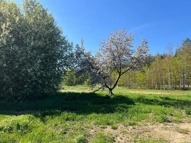 Prodej pozemku pro bydlení, Mimoň, Vranovská, 1415 m2