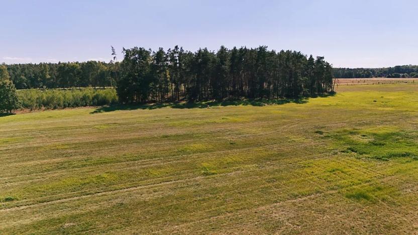 Prodej louky, Běleč nad Orlicí, 28117 m2
