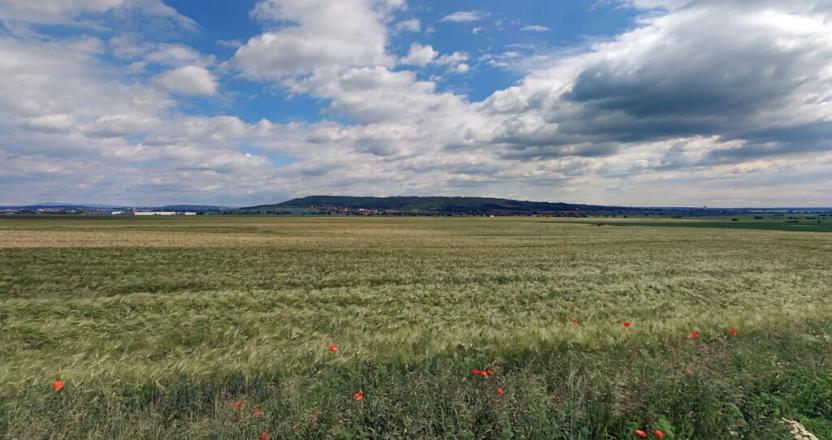 Prodej pole, Strašnov, 17233 m2