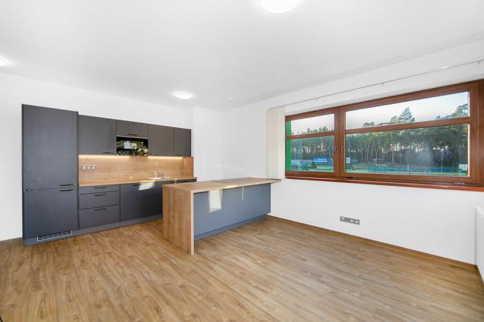 Pronájem bytu 3+kk, Plzeň - Severní Předměstí, Bolevecká, 58 m2