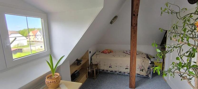 Prodej vícegeneračního domu, Aš, Květnová, 330 m2