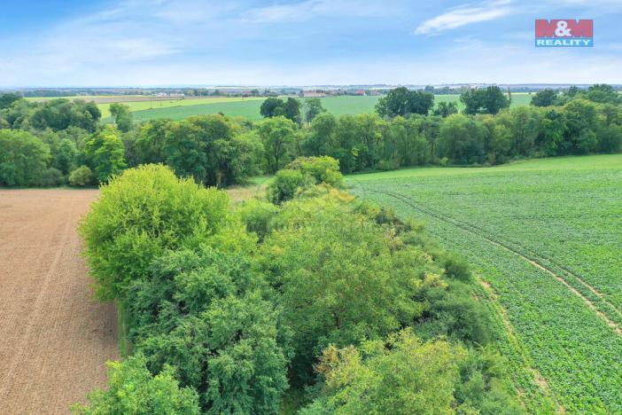 Prodej lesa, Velké Všelisy, 1302 m2