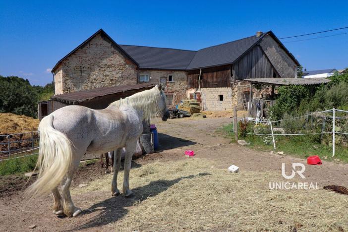 Prodej rodinného domu, Kamenná Horka, 273 m2