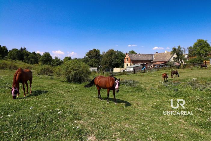 Prodej rodinného domu, Kamenná Horka, 273 m2