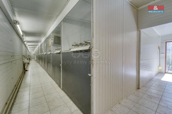 Prodej výrobních prostor, Lhůta, 1220 m2