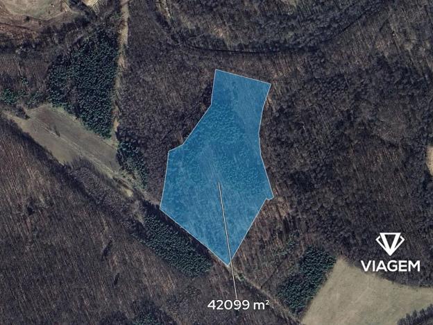 Prodej podílu lesa, Poděbrady, 2631 m2