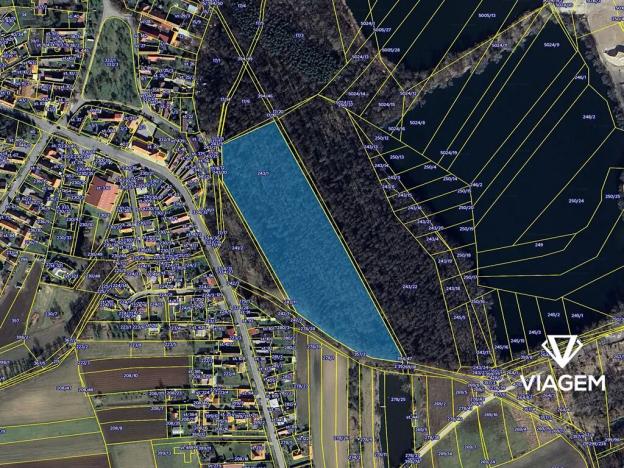 Prodej podílu lesa, Poděbrady, 1995 m2