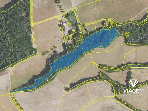 Prodej lesa, Nižbor, 13464 m2