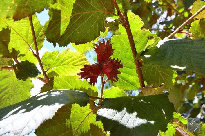 Prodej rodinného domu, Kraslice, Pod lesem, 135 m2