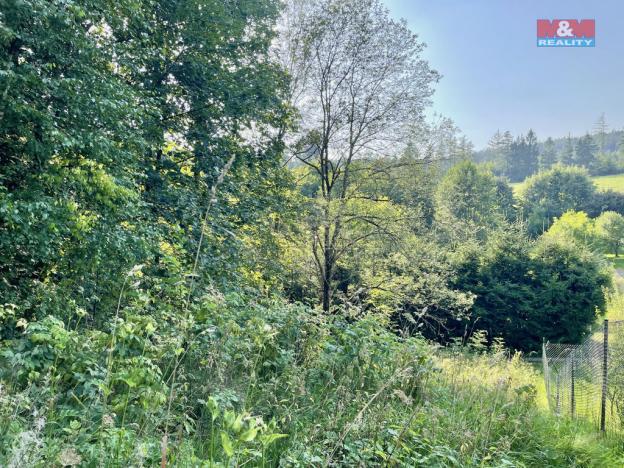 Prodej zahrady, Borová, 594 m2